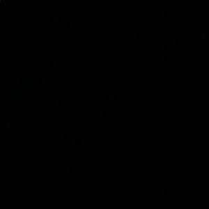 Meet your Posher, Cecilia